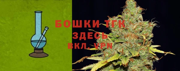 СК Дмитровск