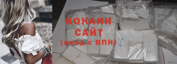 сатива Бронницы