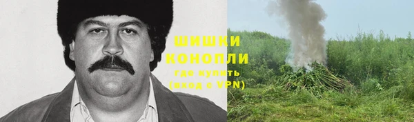 2c-b Богданович