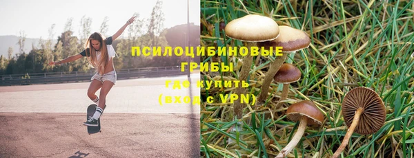 мдпв Богородск