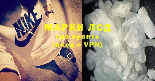 сатива Бронницы