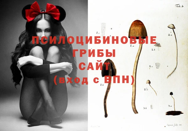 винт Богородицк